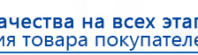 СКЭНАР-1-НТ (исполнение 01)  купить в Лосино-петровском, Аппараты Скэнар купить в Лосино-петровском, Скэнар официальный сайт - denasvertebra.ru